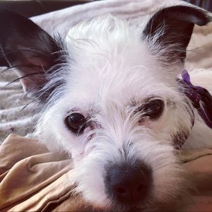 Meet your Posher, Tonya